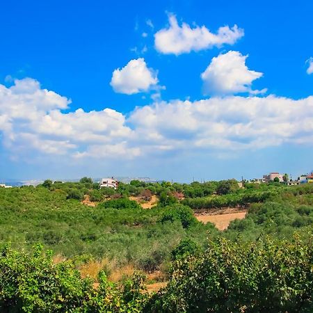 Villa Panagiotis Chania Daratsos Dış mekan fotoğraf