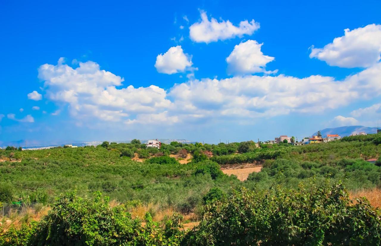 Villa Panagiotis Chania Daratsos Dış mekan fotoğraf